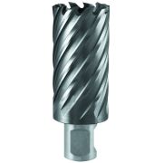 Фреза по металлу 18х55мм Weldon 19мм TCT 1110.009700