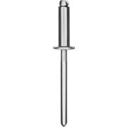 KRAFTOOL Inox, 4.8 x 25 мм, 250 шт, нержавеющие заклепки (311705-48-25)